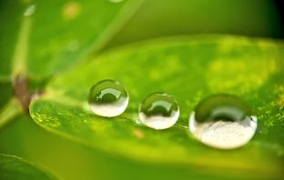 Quy tắc tâm linh của Ấn Độ water drop